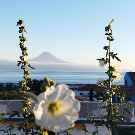 Magma Rral3529 Διαμέρισμα Velas Εξωτερικό φωτογραφία