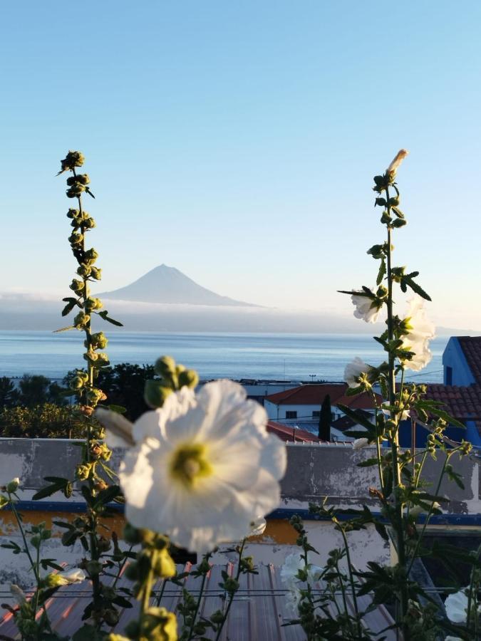 Magma Rral3529 Διαμέρισμα Velas Εξωτερικό φωτογραφία